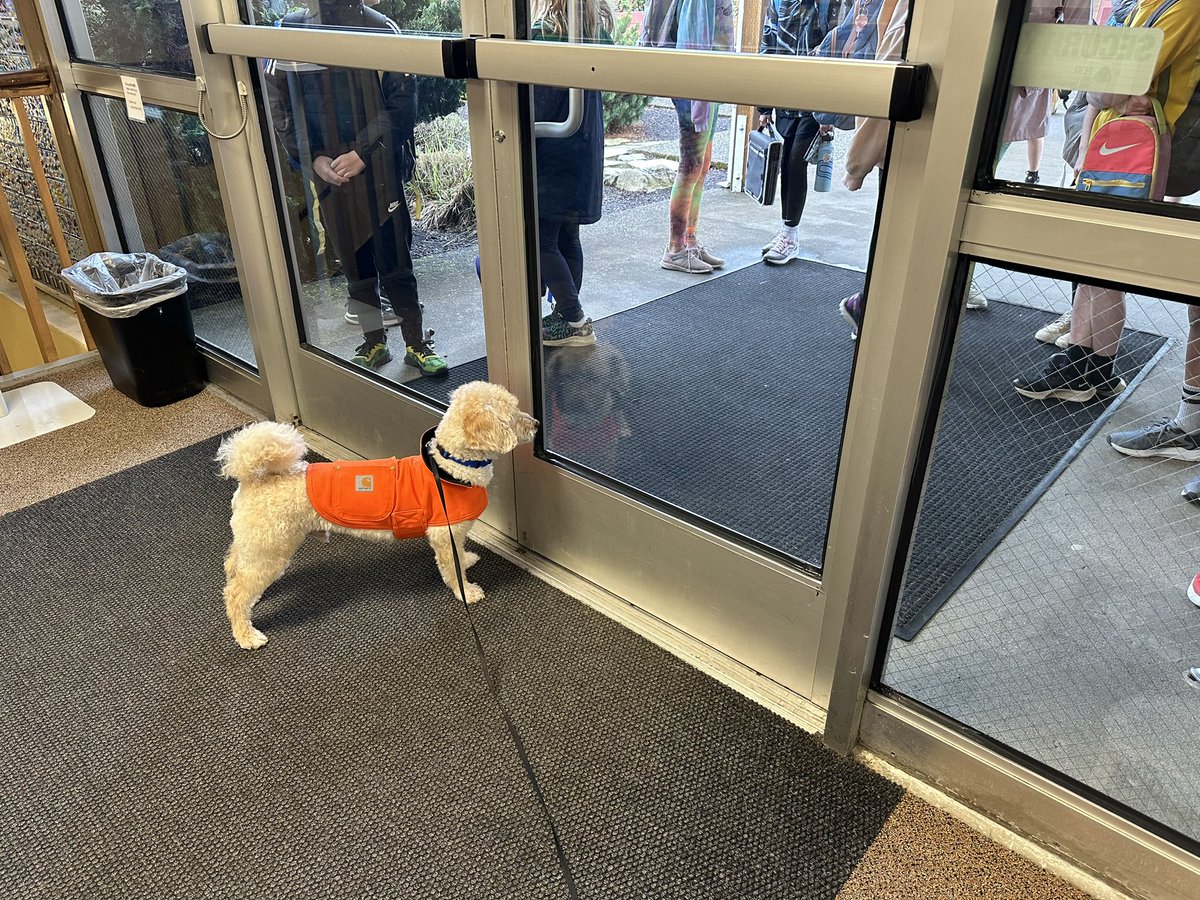 MyDogSnickers's tweet photo. Waiting to receive our students for another day here of School https://t.co/M4cSDkznNb