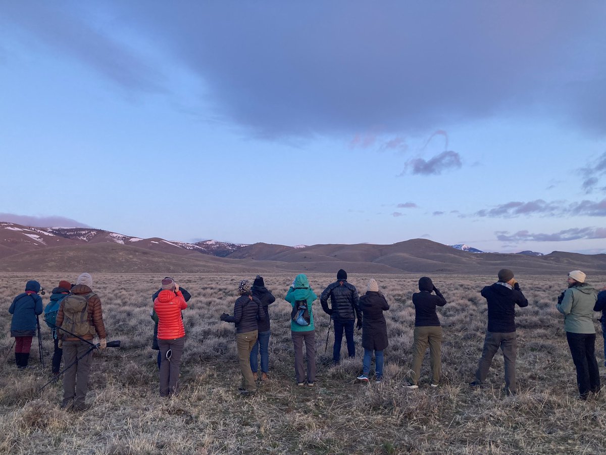 Ashley Ahearn tweet media