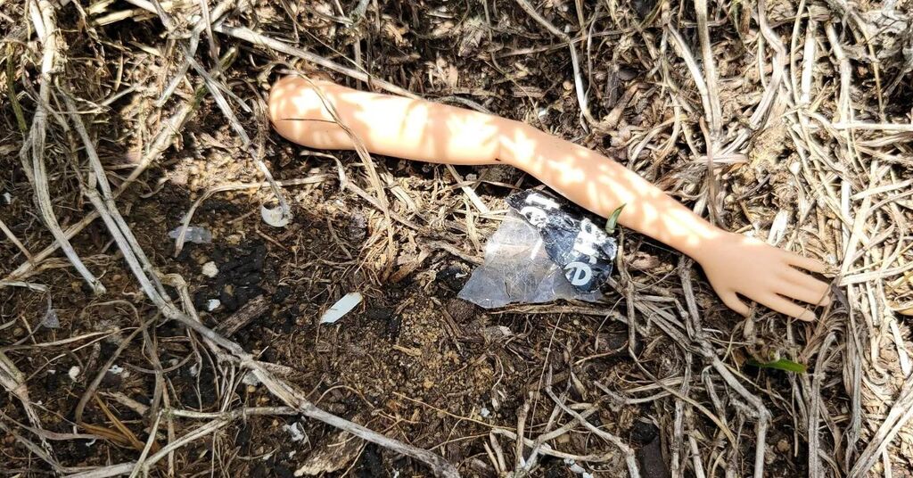 skipstomusic's tweet photo. Doing some lake clean-up for #earthday and found some body parts. 

#earthday2023 #dollparts #keepthelakesclean #lakecountyfl #bodyparts #funfinds https://t.co/RbIzosWkBr
