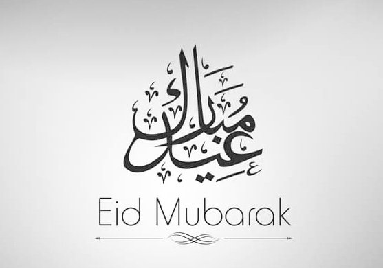 WrittenMastery | Content Writer tweet media