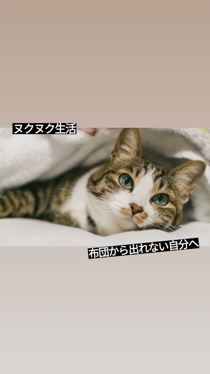 PechandaY0000's tweet photo. ヌクヌク生きる。

今日やること
・久しぶりにnote書く
・仕事
・経費書類整理
・アマゾンで買い物
・サラダ食べる https://t.co/IvmknthuIo
