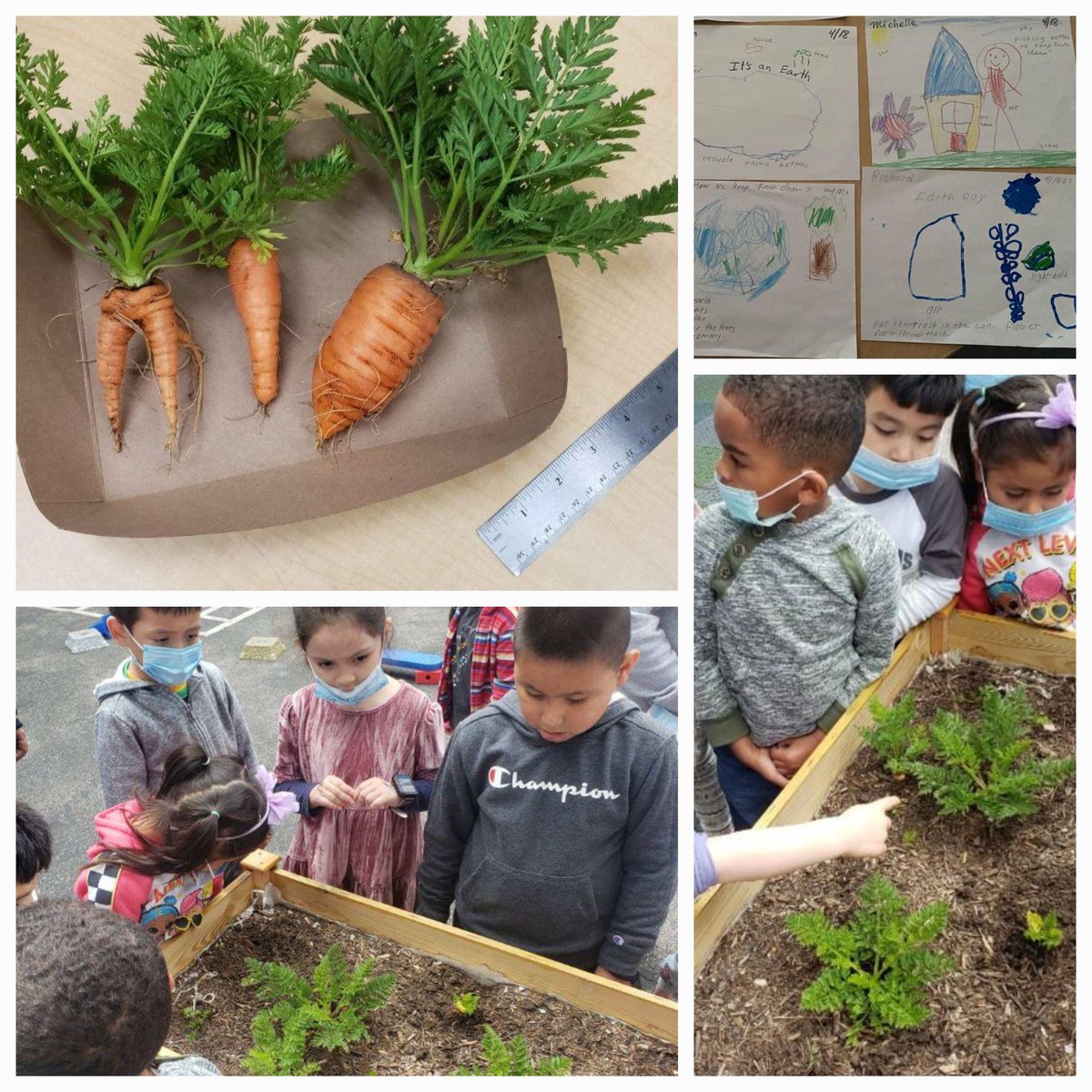 Our preschool students learn about sustainability, by composting, recycling and growing our own vegetables😋. Earth Day is everyday! <a href="/ECED4LA/">ECE4LA</a> <a href="/MsDamonte/">Pamela Damonte VN-VG Community of schools</a> <a href="/LASchoolsNorth/">LAUSD Region North</a> <a href="/MsMcMurrin/">Rebecca McMurrin</a> <a href="/ScottAtLAUSD/">Scott M. Schmerelson</a> <a href="/DeanTagawa/">Dean Tagawa, Ed.D.</a>