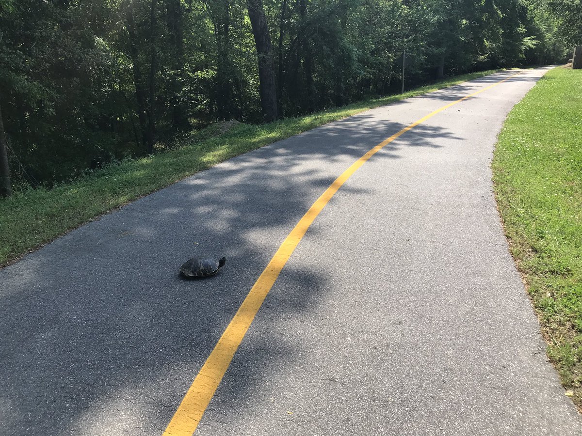 geopetrosky's tweet photo. Great weather for a greenway cleanup on the #walnutcreekgreenway today. #trails #turtlecrossing #greattrailstate #lifeatstewart #serveandlead https://t.co/bm42iIQhNy