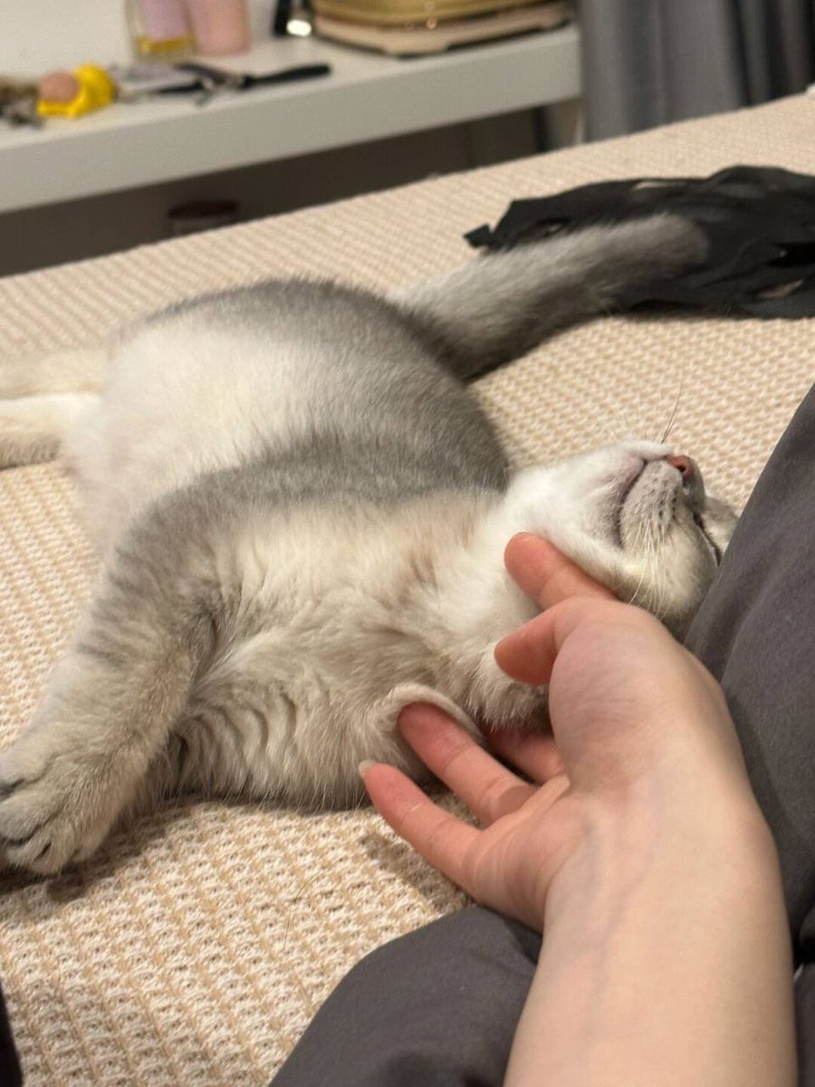 ailisashinid's tweet photo. Usually a troublemaker, play tired into a good baby 😂 https://t.co/dL4n7nOfmT