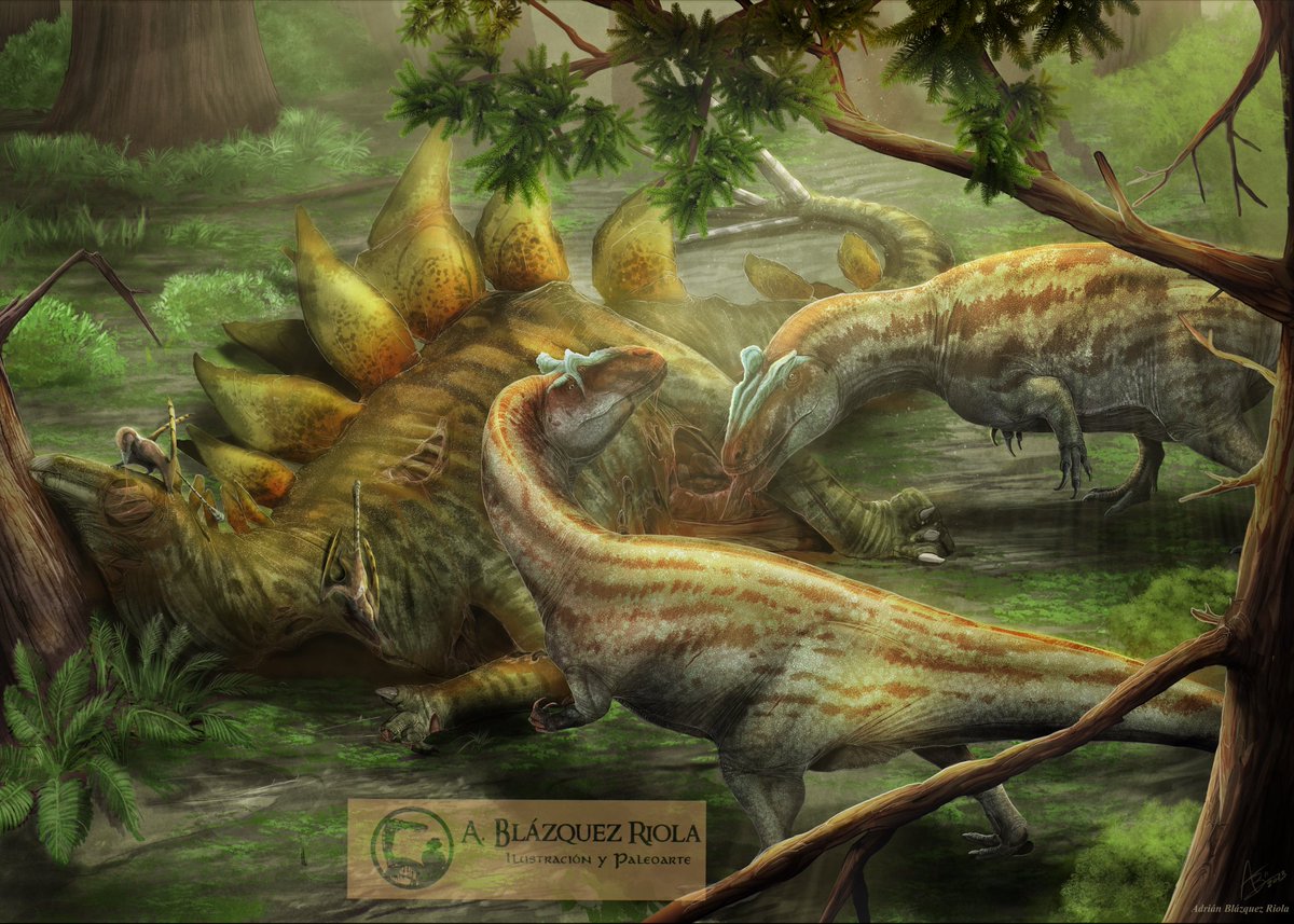 Winning illustration of the first prize 🏆 of the #EJIPIMERP2023 #PaleoIllustration Contest held in Lourinhã, Portugal.

'An old #Stegosaurus , serves lunch for two #Allosaurus europaeus in a clearing in a forest. Paleoartistic reconstruction of the Fm. Lourinhã'