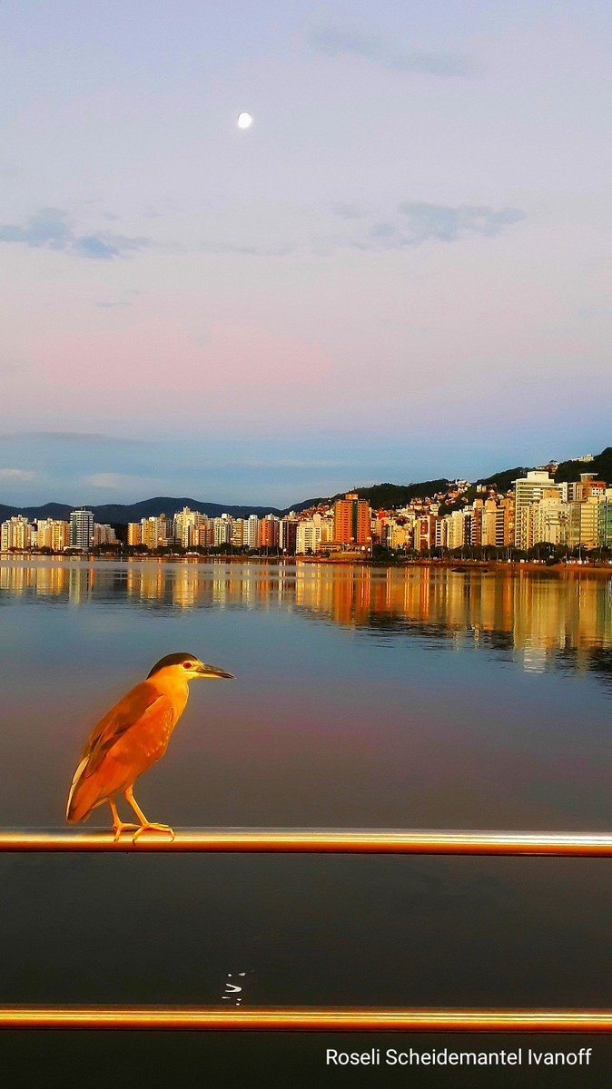 A special nightfall 💛
#StormHour <a href="/ThePhotoHour/">#ThePhotoHour</a> 
#photography