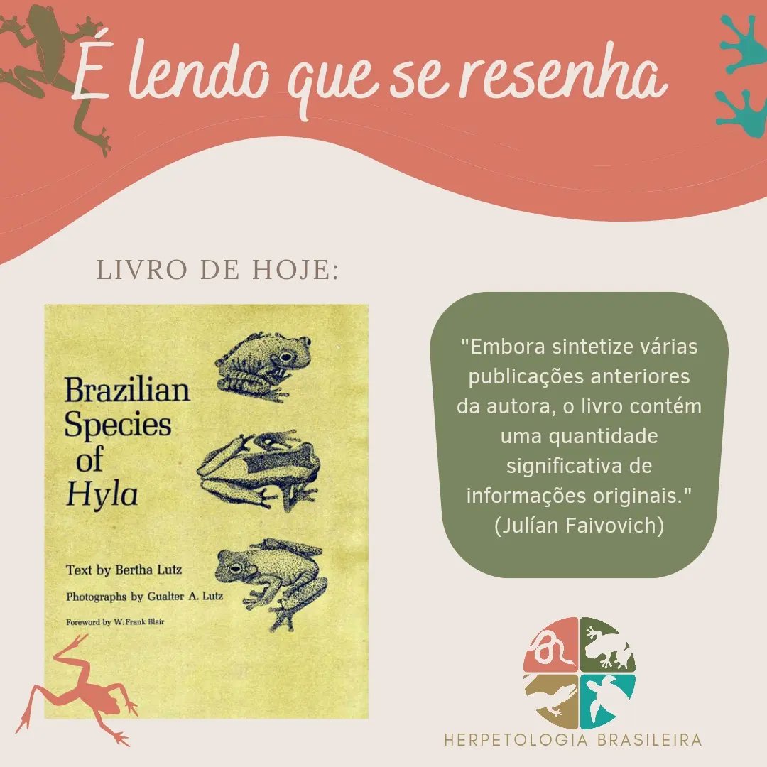 A resenha de hoje é sobre o livro "Espécies brasileiras de Hyla" 🐸 

📜 Este livro apresenta um panorama sobre o profundo conhecimento de Bertha Lutz sobre os anuros antigamente incluídos no gênero Hyla. +