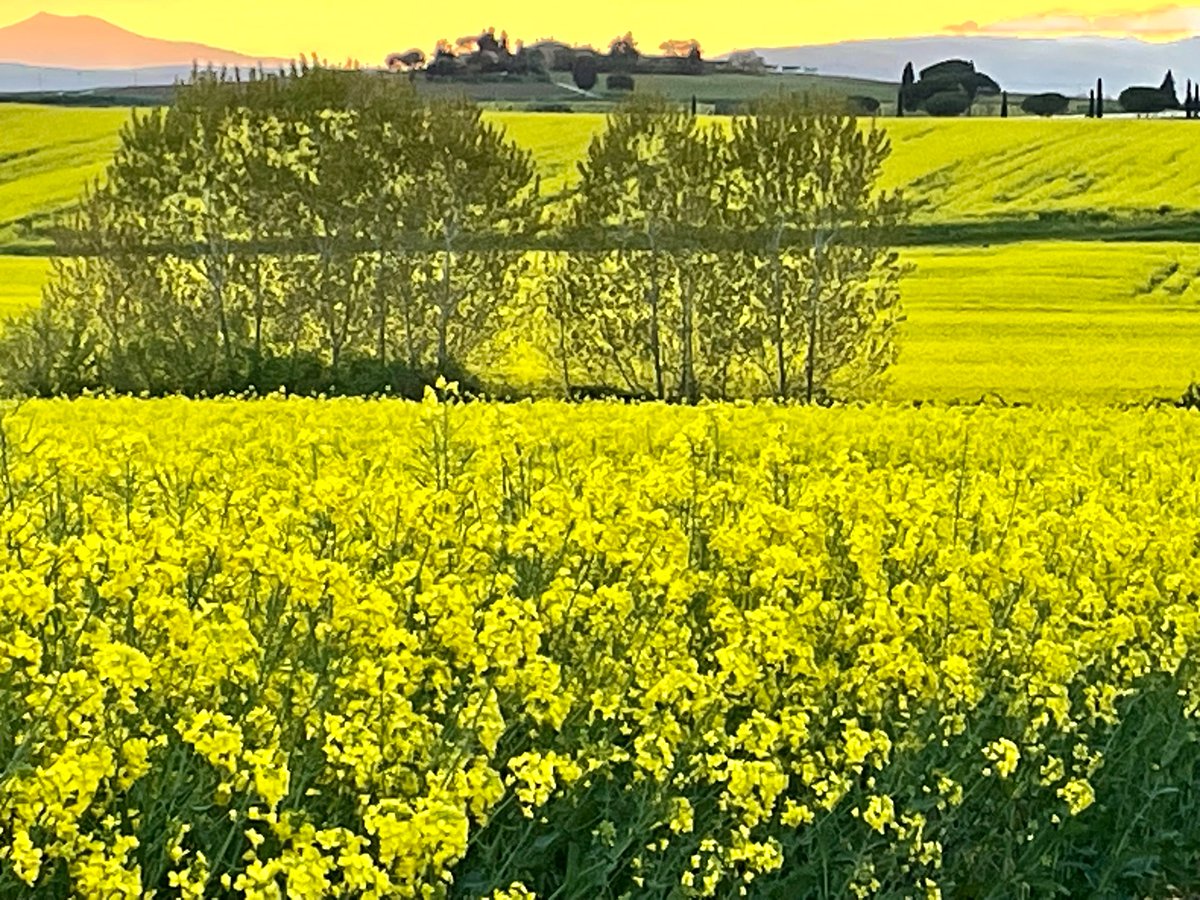Panicale, Umbria, Italy. .<a href="/seahorsebend/">Jenn 🇺🇦🌻</a>