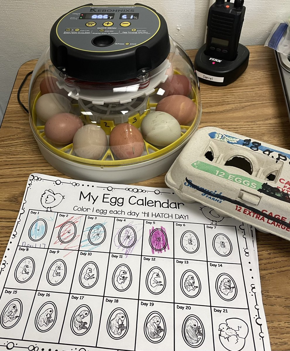 AcsaWelker's tweet photo. So much exciting Sciene happening in Room 10 @rcsd_crestmont . Thank you @RCSD_Foundation for the Pie Grant to support hands on exploration of various life cycles! https://t.co/WfAtKD5enW