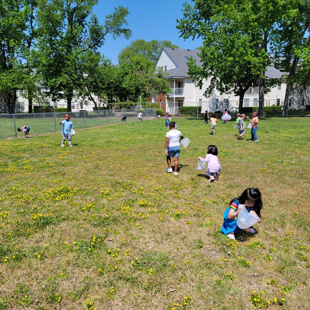 Tiffany Foley tweet media