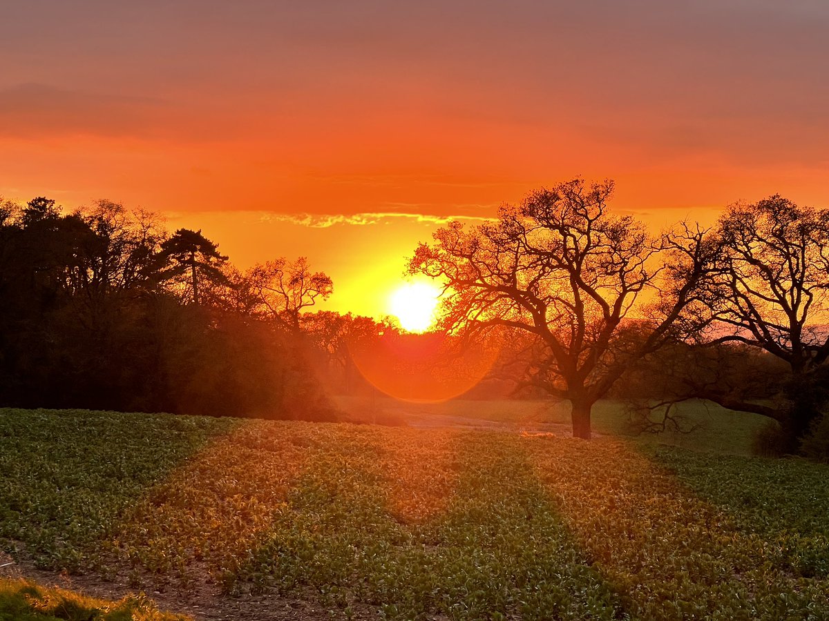 dportlock2's tweet photo. Jumped out of my car 🚗 to capture a beautiful sunset just in the nick of time!
@VisitWorcs @VisitWorcester @StormHour #Worcesterphoto #loveukweather #hindlip #moodyweather https://t.co/kcXenIk0LW