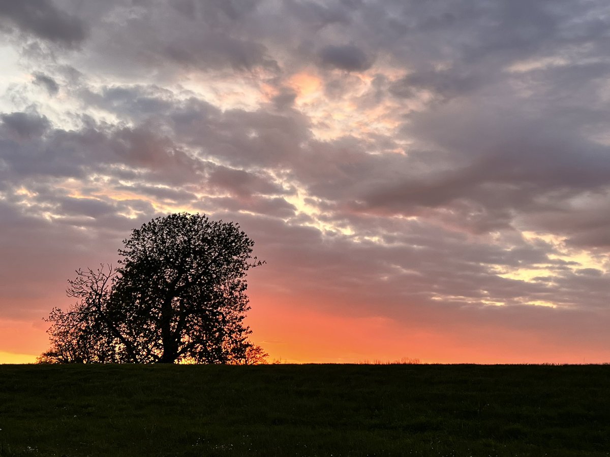 dportlock2's tweet photo. Jumped out of my car 🚗 to capture a beautiful sunset just in the nick of time!
@VisitWorcs @VisitWorcester @StormHour #Worcesterphoto #loveukweather #hindlip #moodyweather https://t.co/kcXenIk0LW