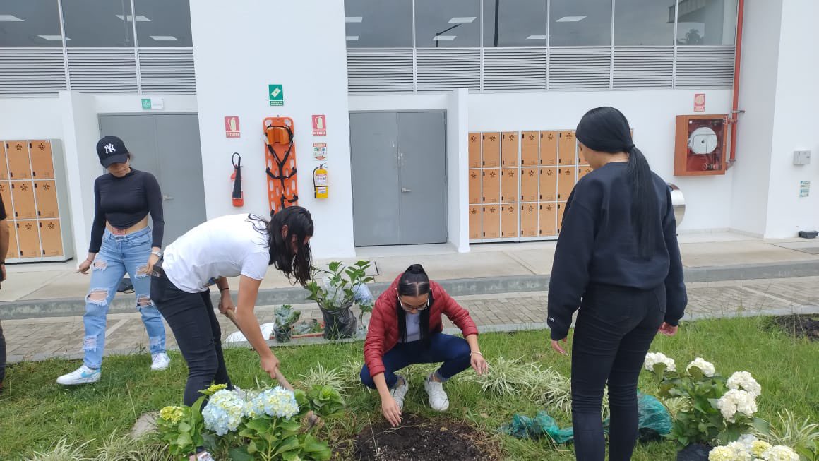 SENACmarca's tweet photo. Con el propósito de adecuar nuestros espacios 🏢 haciéndolos más confortables y acogedores para propios y visitantes🚶🏻‍♀️🙋🏽‍♂️, el día de hoy llevamos a cabo jornadas de siembra 🌳🪴y embellecimiento en las sedes de nuestro @SENAFusagasuga https://t.co/iBmuwGr61m
