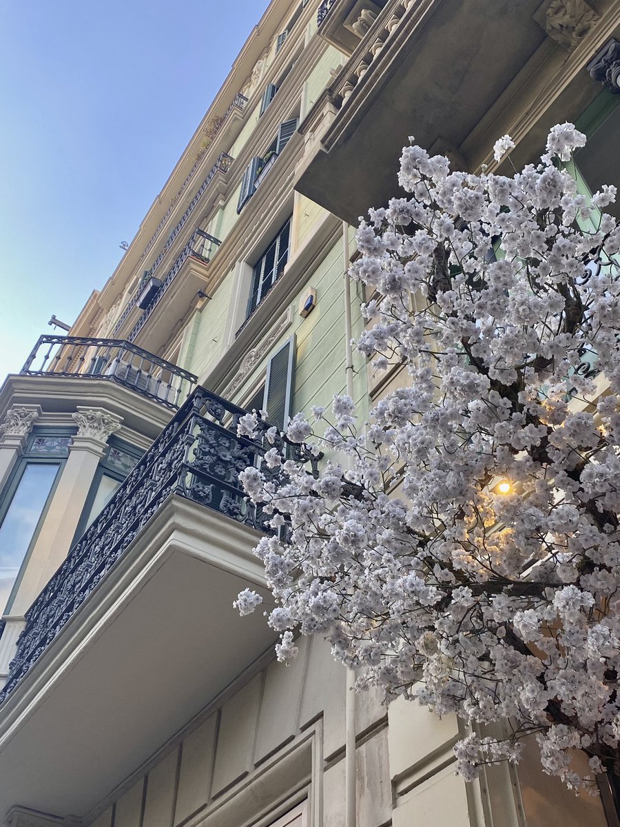 r̴̴i̴̴z̴̴o̴̴s̴ tweet media