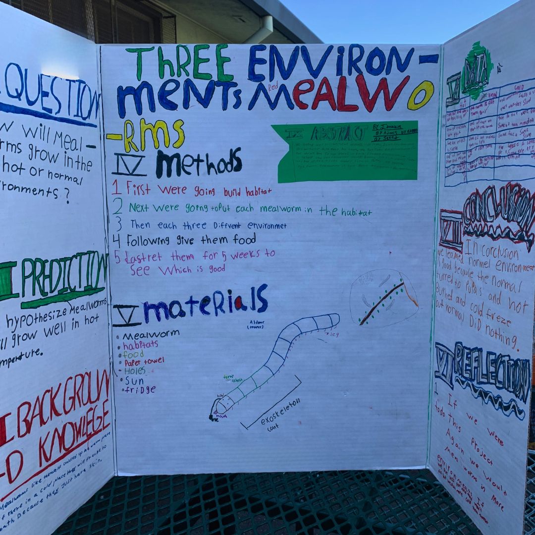 crscience's tweet photo. We had so much science-filled fun @OUSDNews' Bridges Academy #STEM fair! 1st-4th graders presented their projects on mealworm environments, clean water, roly poly diets, growing beans in cotton and more! Thank you, students, for sharing your discoveries! #InvestinSTEM https://t.co/p3kENi5koR
