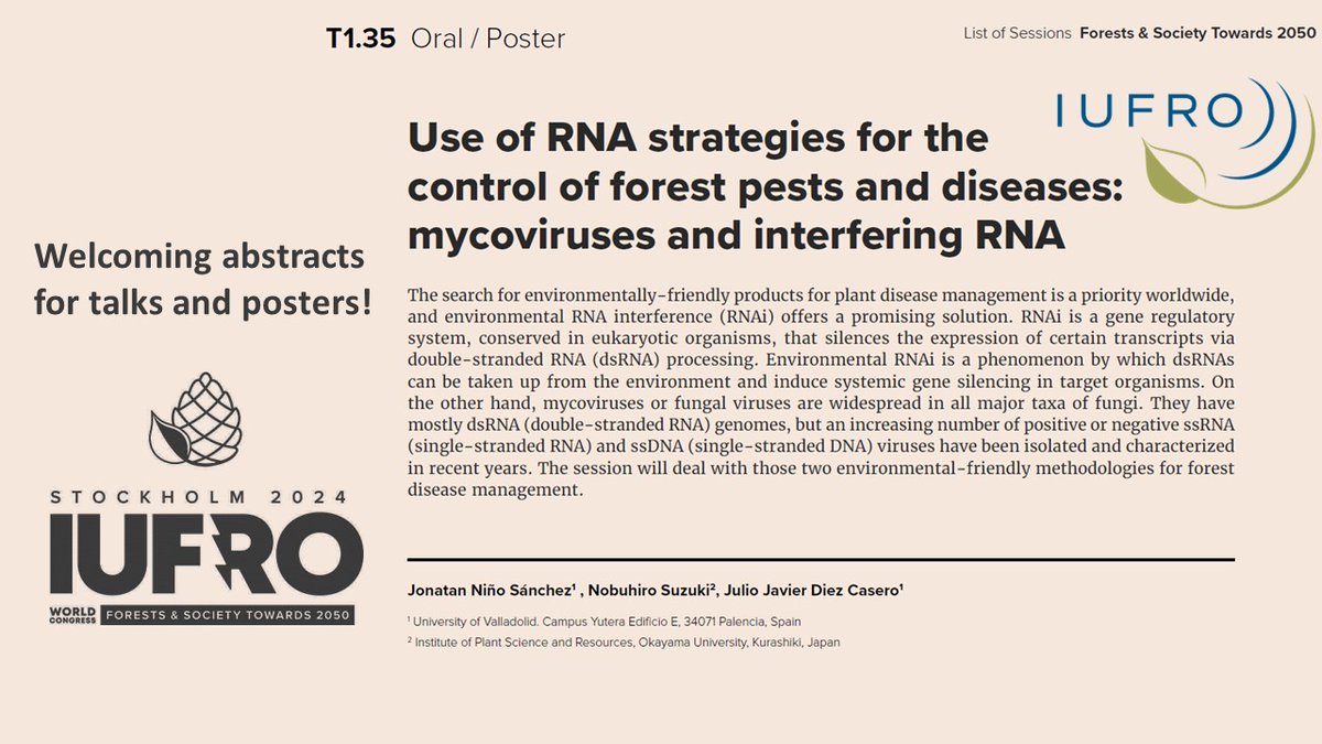 IUFROdivision7's tweet photo. #IUFRO2024 ✨#SessionHighlight✨week 9 is here!  Session T1.35 Use of #RNA strategies for the control of #ForestPestsAndDiseases: #mycoviruses and #interferingRNA 🌳🪲🍄will be moderated by Jonatan Niño Sánchez, Nobuhiro Suzuki and Julio Javier Diez Casero
https://t.co/5w9IvWvEw8 https://t.co/SetxxA9I0m