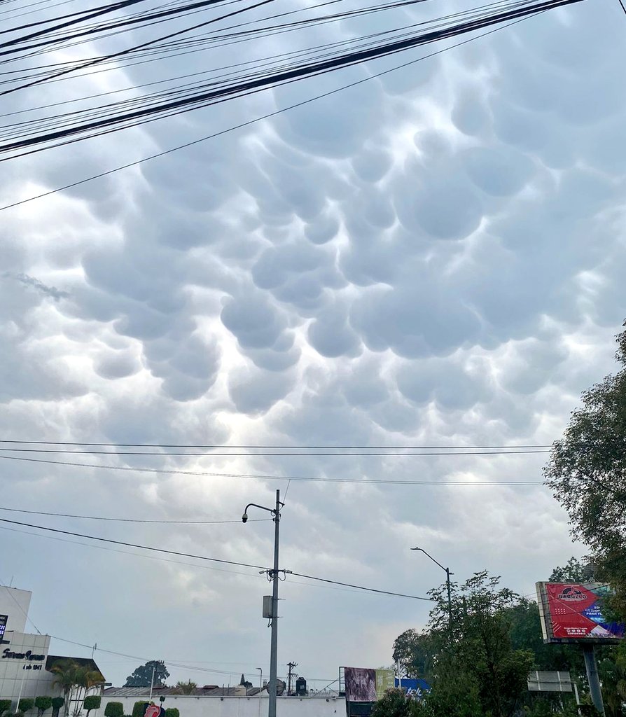 b_montano8's tweet image. Nubes mammatus en #Xalapa ☁️
📸: Omar Castro