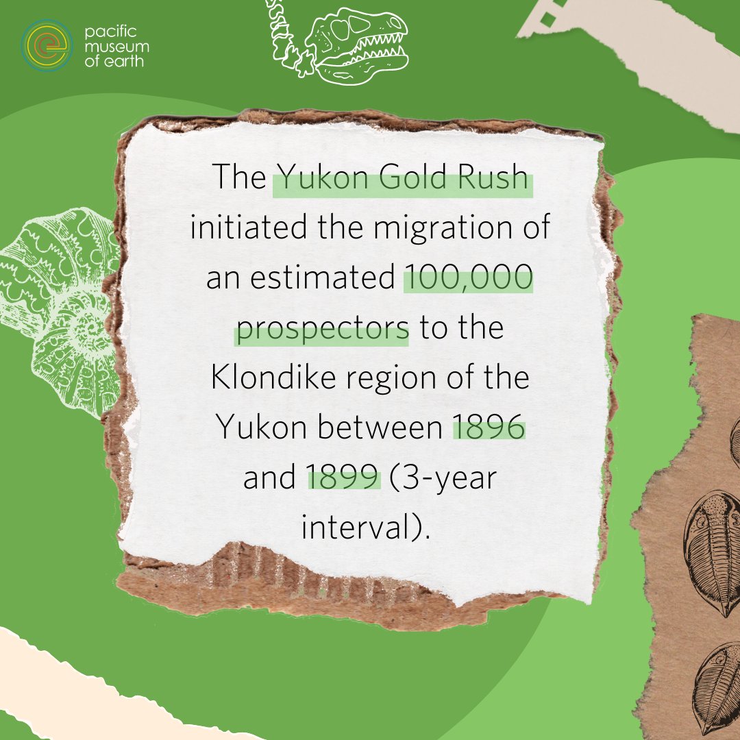 These #goldrushes brought thousands of prospectors to the region and paved the way for lode deposit exploration, which, until the 1980s, was a major mining industry in B.C..

Visit this exhibit in the Gem Gallery at the museum!

#gold #fraserriver #yukon #MuseumsEh #UBCstudents