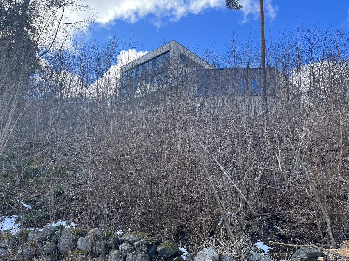 grobaek's tweet photo. @SHjelmeland Tok bilde av disse fire i påska. I Rådyrveien til og med https://t.co/v4y32avxK2