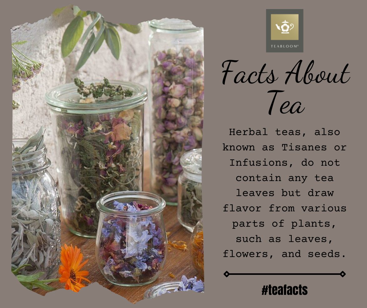 teabloom's tweet photo. Do you love herbal tea? Here are some interesting facts about herbal teas or tisanes... #teafacts #teabloom https://t.co/W1zIhoW5iU