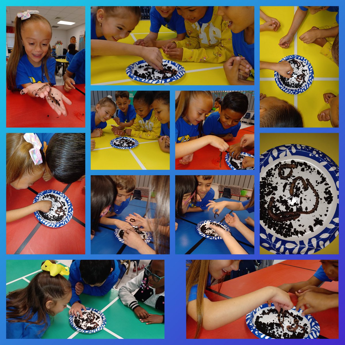 Cfarias_LCES's tweet photo. Another wonderful day in kindergarten!🪱💙💛 #BetterTogether https://t.co/QHbelXEnJN