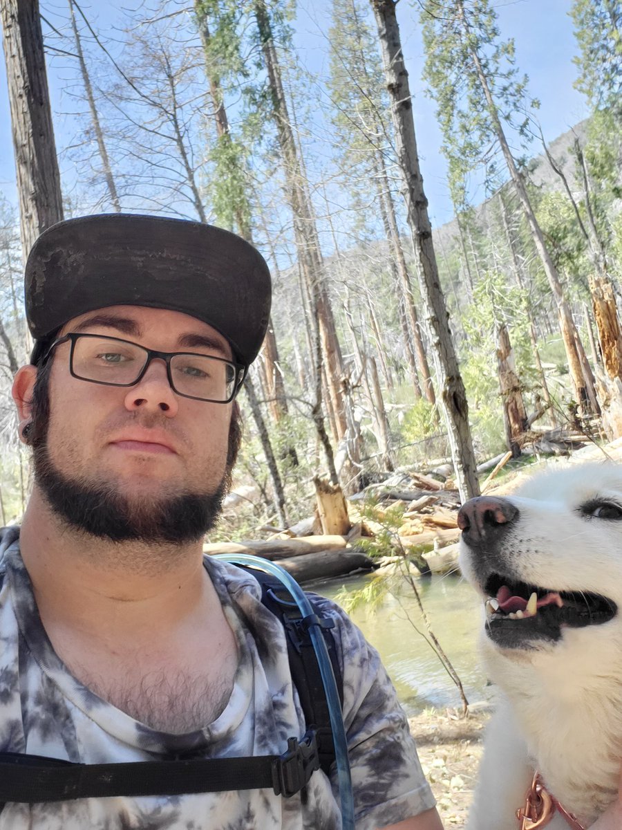 ☆☆Jonny dogos mountain adventures☆☆ tweet media