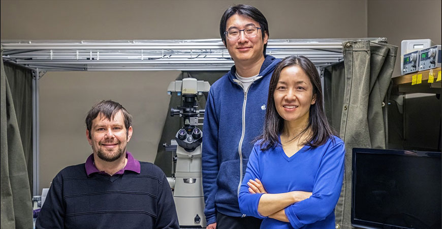 ucmerced's tweet photo. Student researchers in experimental physics Professor Jing Xu’s lab have played a critical role in a study that will help understand Alzheimer’s and other diseases that progressively destroy brain tissue https://t.co/WGZDEUr0b3 #FirstFurtherForward https://t.co/18c1qXAMgy
