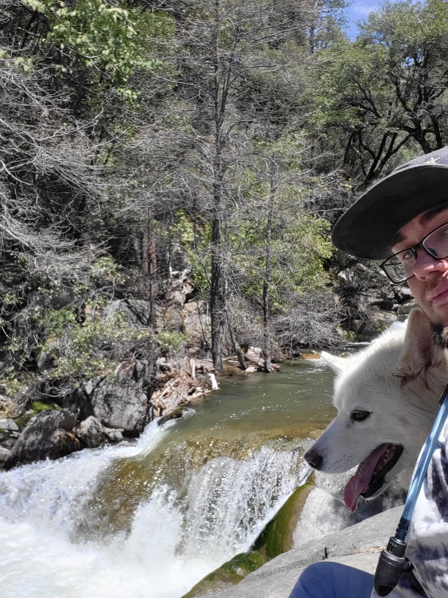☆☆Jonny dogos mountain adventures☆☆ tweet media