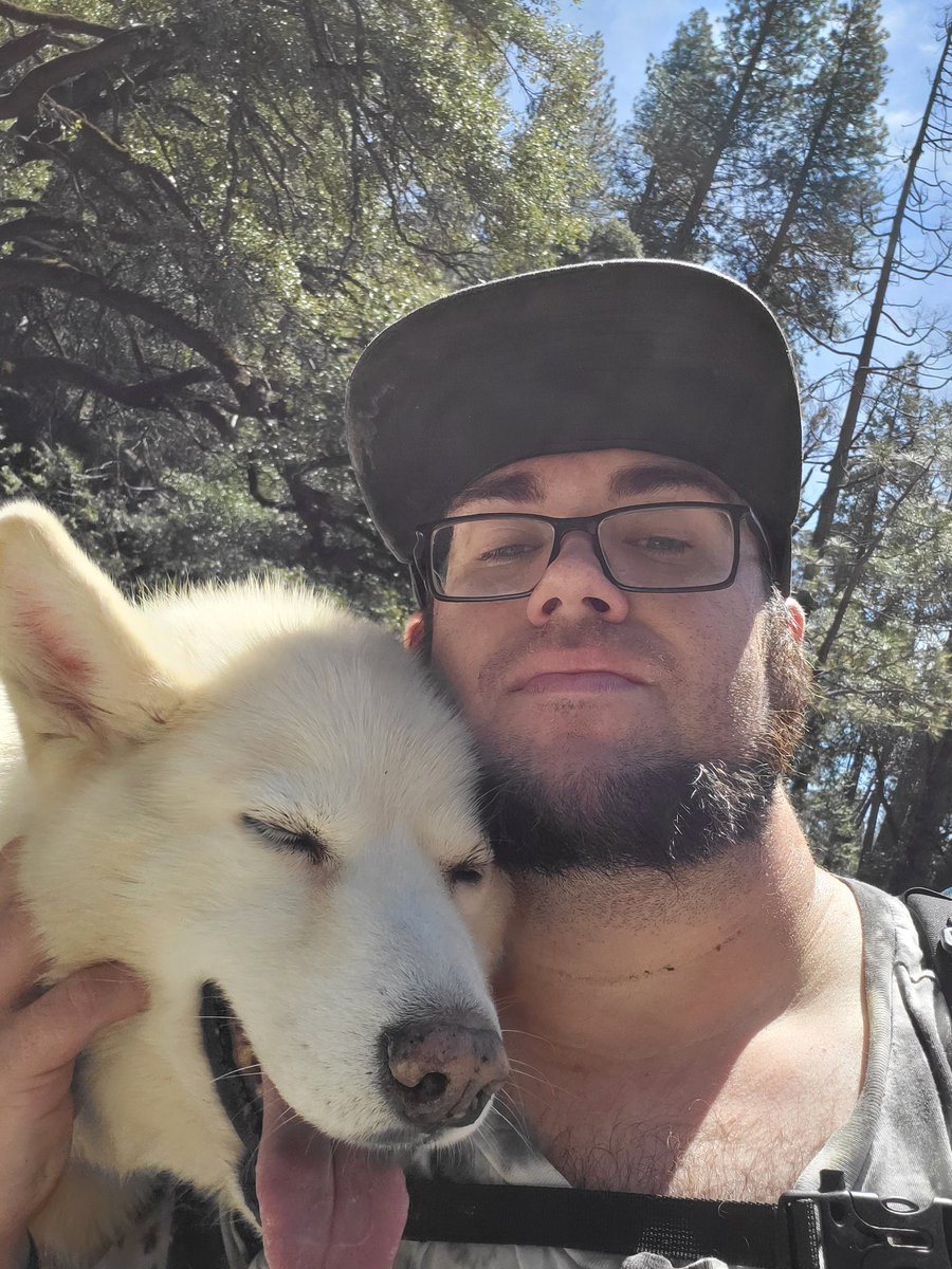 ☆☆Jonny dogos mountain adventures☆☆ tweet media