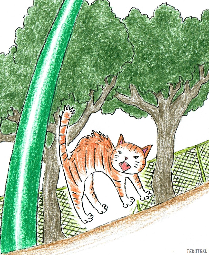 「#上手いとか下手とかそういうのは関係なく自分が気に入っている絵を4枚選ぶ  #猫」|TEKUTEKUのイラスト