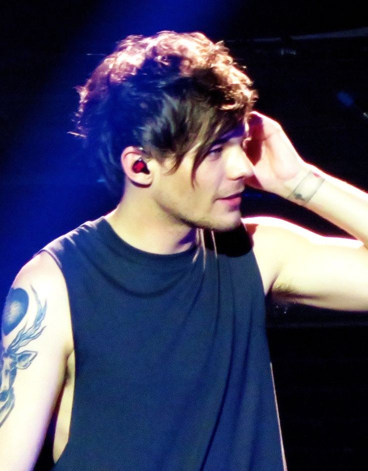 louis hedgehog (@lhdgehog) on Twitter photo 