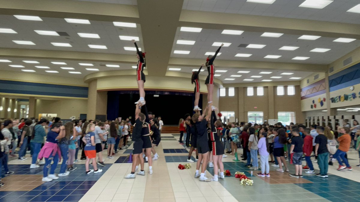 Paola Gorman tweet media