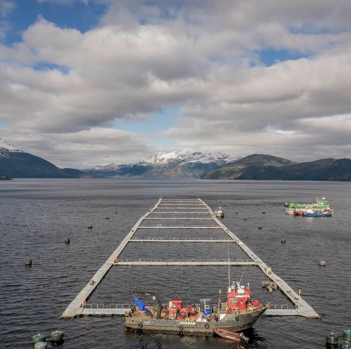 SinSalmoneras's tweet photo. #TestimoniosApss
Desde las aguas de la reserva Kawesqar, la actriz y activista Leonor Varela llamó a declararla Parque Nacional Sin Salmoneras.
¡ Grande Leo !
@GabrielBoric @LeticiaCaro6 
@ScacMagallanes 
@Maisa_Rojas 
@max_proano 
@nico_grau 
@JorgeFlies 
@luzbermudezsan https://t.co/J92blUfORb