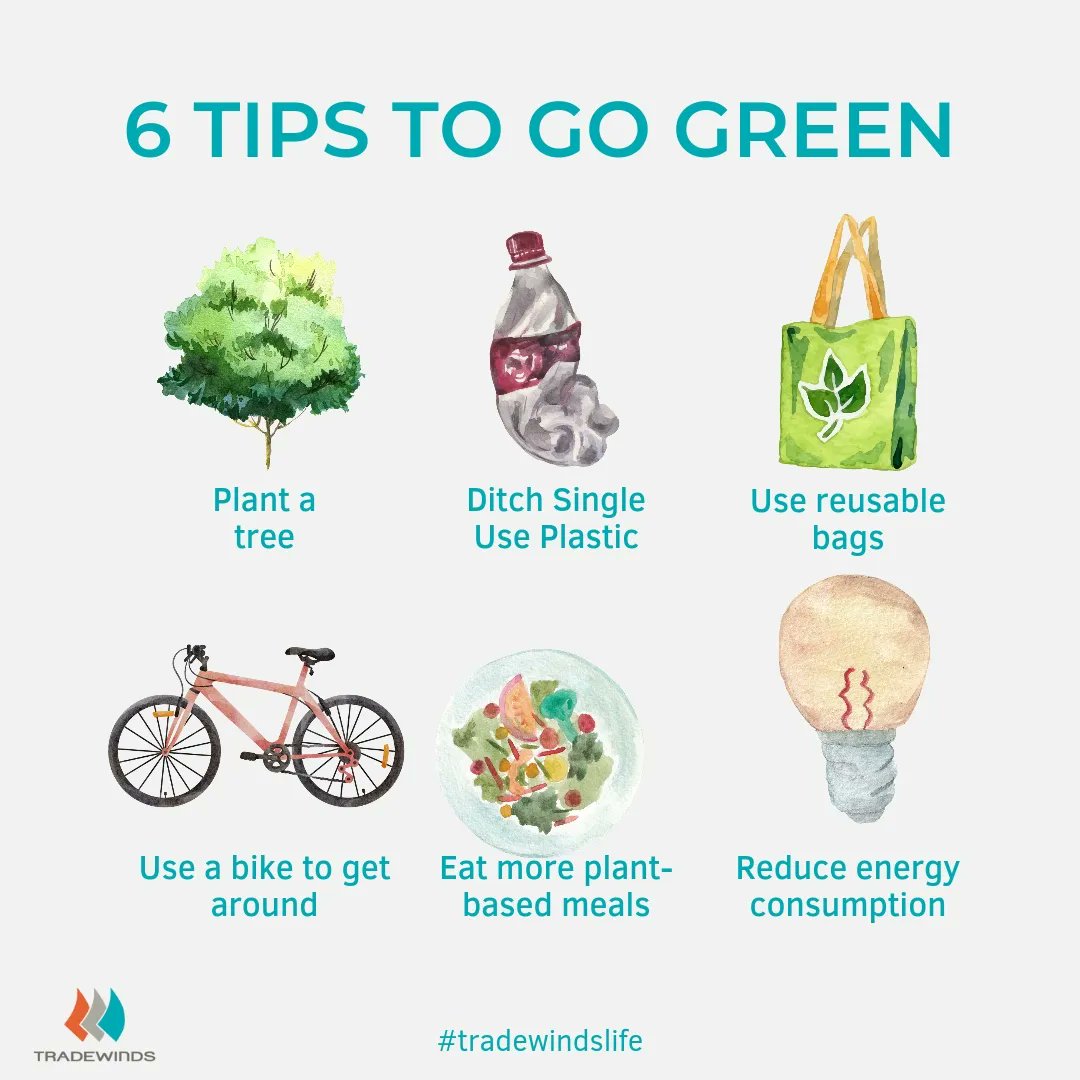 One of TradeWinds core values is sustainability. We as a company focus on creating the best experience for our guests and at the same time to do everything in our power to save the future of human kind. #ecofriendly #tradewindslife #Sustainability