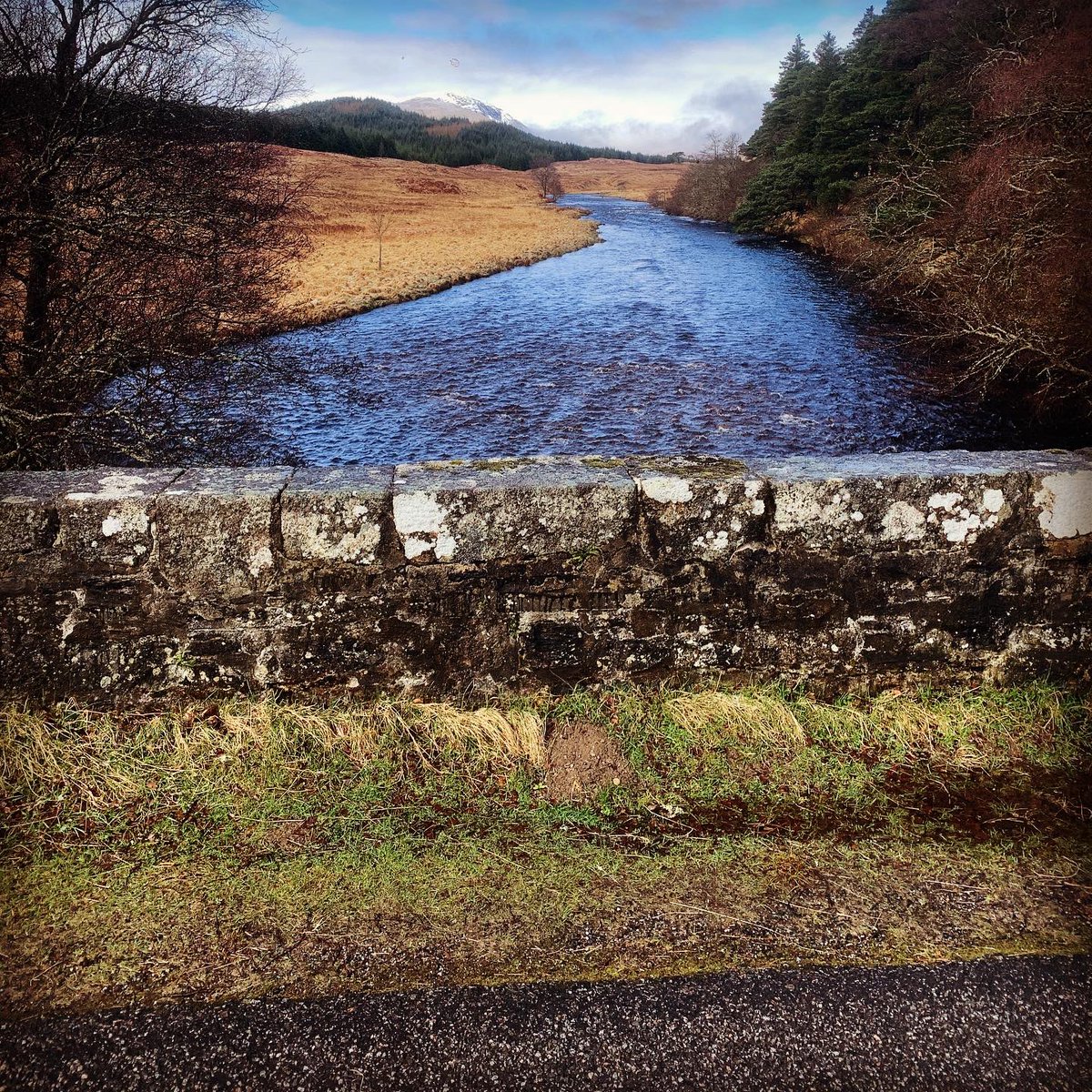 Jürgen Wendelen (@maudlinrich) on Twitter photo 