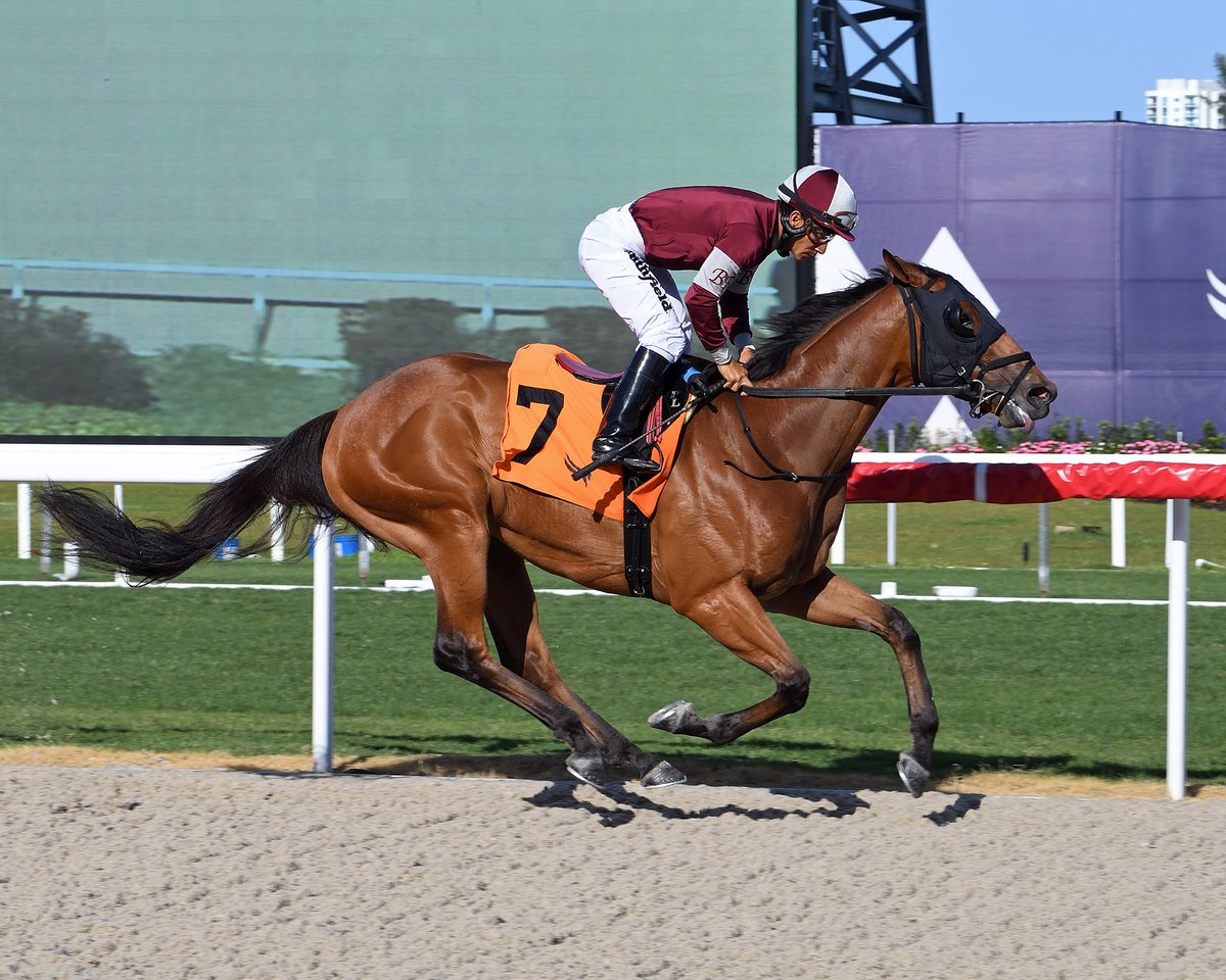 Gulfstream Park on Twitter "Grande Soiree pulls away in the final