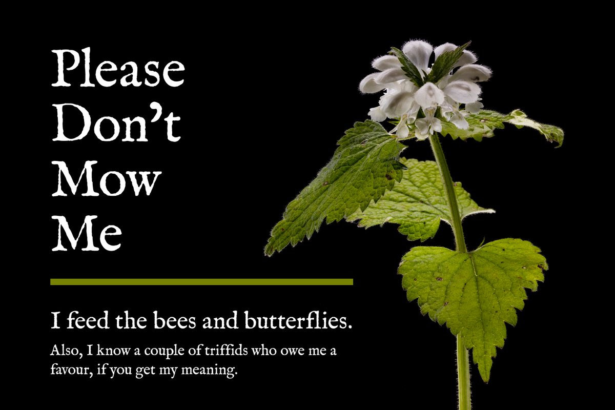 Robert Barker 🦆☂ tweet media