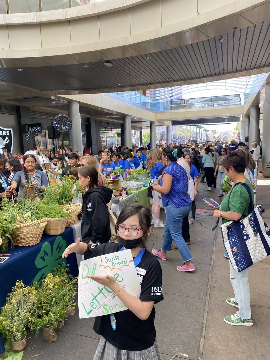 Elizabeth Callahan tweet media