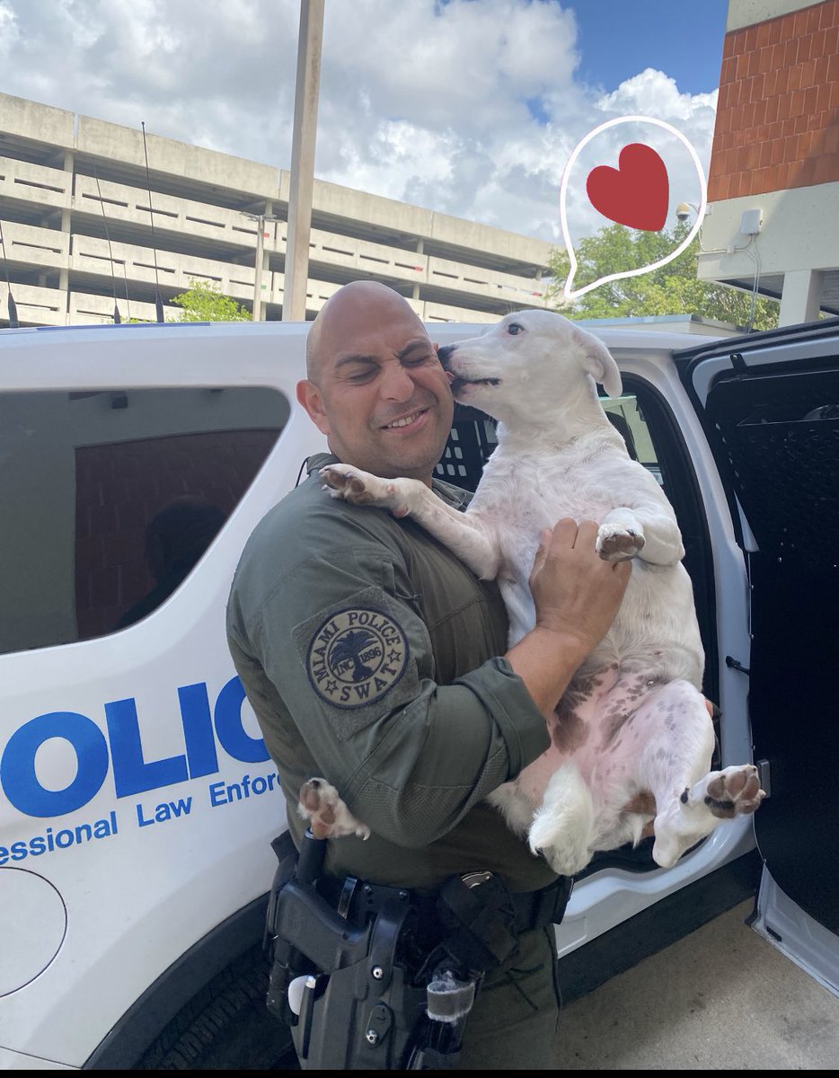 FrecklesMPD's tweet photo. May you have a #happy #friday from #downtownmiami ☀️😘🐶🐾💙 @miamipal @mpdpolice @rji36 @mpdpolice https://t.co/P8a9XCuzwc