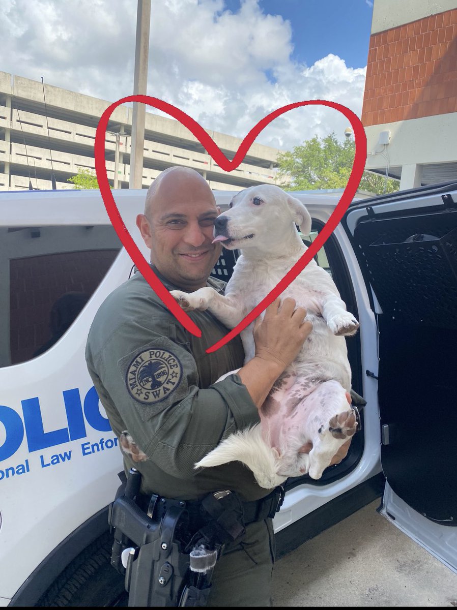 FrecklesMPD's tweet photo. May you have a #happy #friday from #downtownmiami ☀️😘🐶🐾💙 @miamipal @mpdpolice @rji36 @mpdpolice https://t.co/P8a9XCuzwc