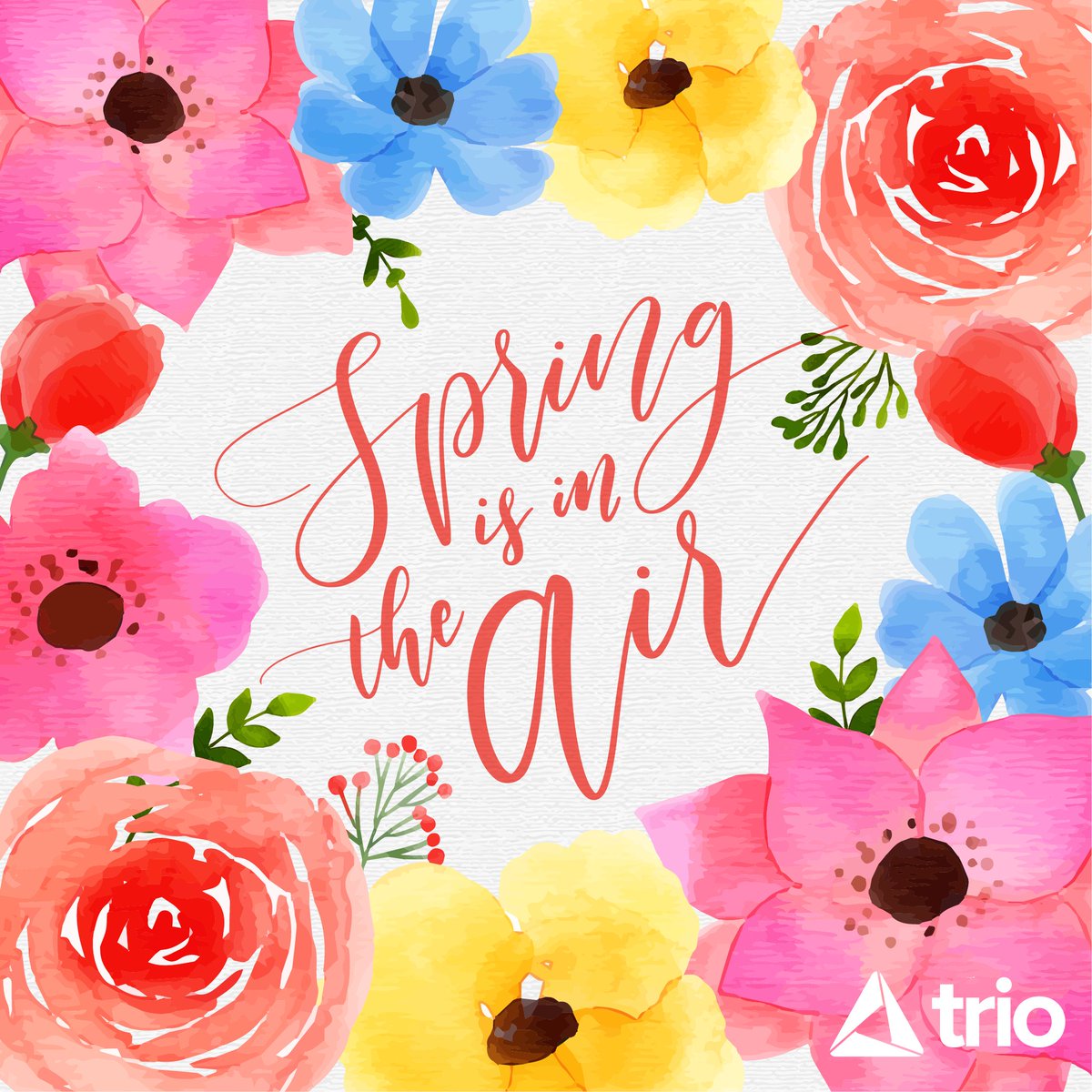 ThinkTrio's tweet photo. April showers bring May flowers! ☂️🌷🌼
#thinktrio #homeownership https://t.co/LckehuoSCL