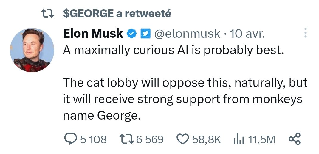 $GEORGE tweet media