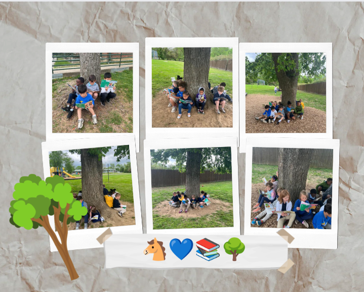 Katie_Wolff_'s tweet photo. Read Under A Tree Challenge @LCobbl K Class

#ReadUnderATree
#BrightsideLouisville
@Brightside_ 
#CESLeadTheCharge 🐴💙 https://t.co/wtbwv9m4zm