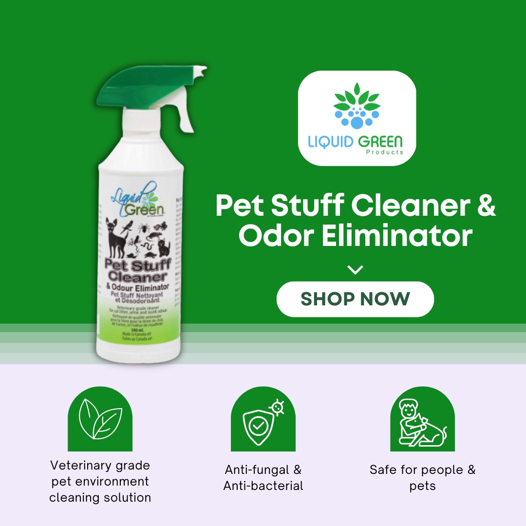 liquidgreenpro's tweet photo. Keep your pet's things clean and smelling fresh with Liquid our Pet stuff cleaner and odor eliminator 🐶🐱! Safe for both people and pets, it's the perfect way to keep your space clean and smelling great!
SHOP NOW https://t.co/MYvHpubLBI
.
#Pets #PetStuff #PetSmellsGone 🐾 https://t.co/kDyaeNG3b7