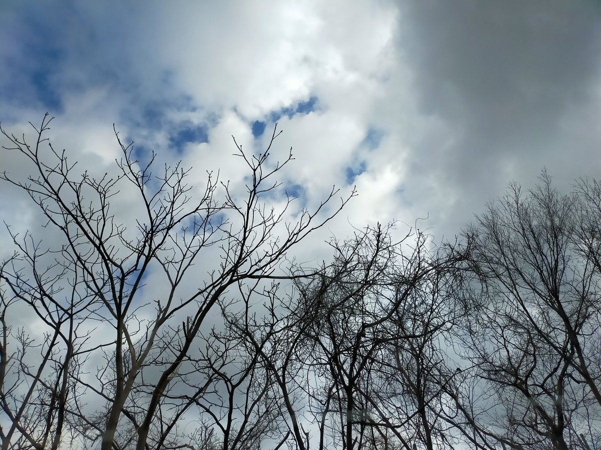 torico's tweet photo. 空がうっとりするような青色の季節に。
外は5℃ https://t.co/nQFgXIRG5N