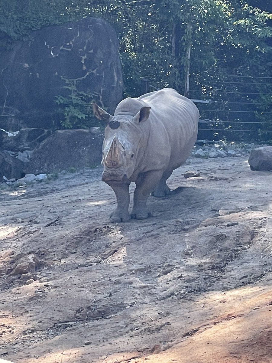 RexrodeMLST's tweet image. What a fun day at the zoo!!!