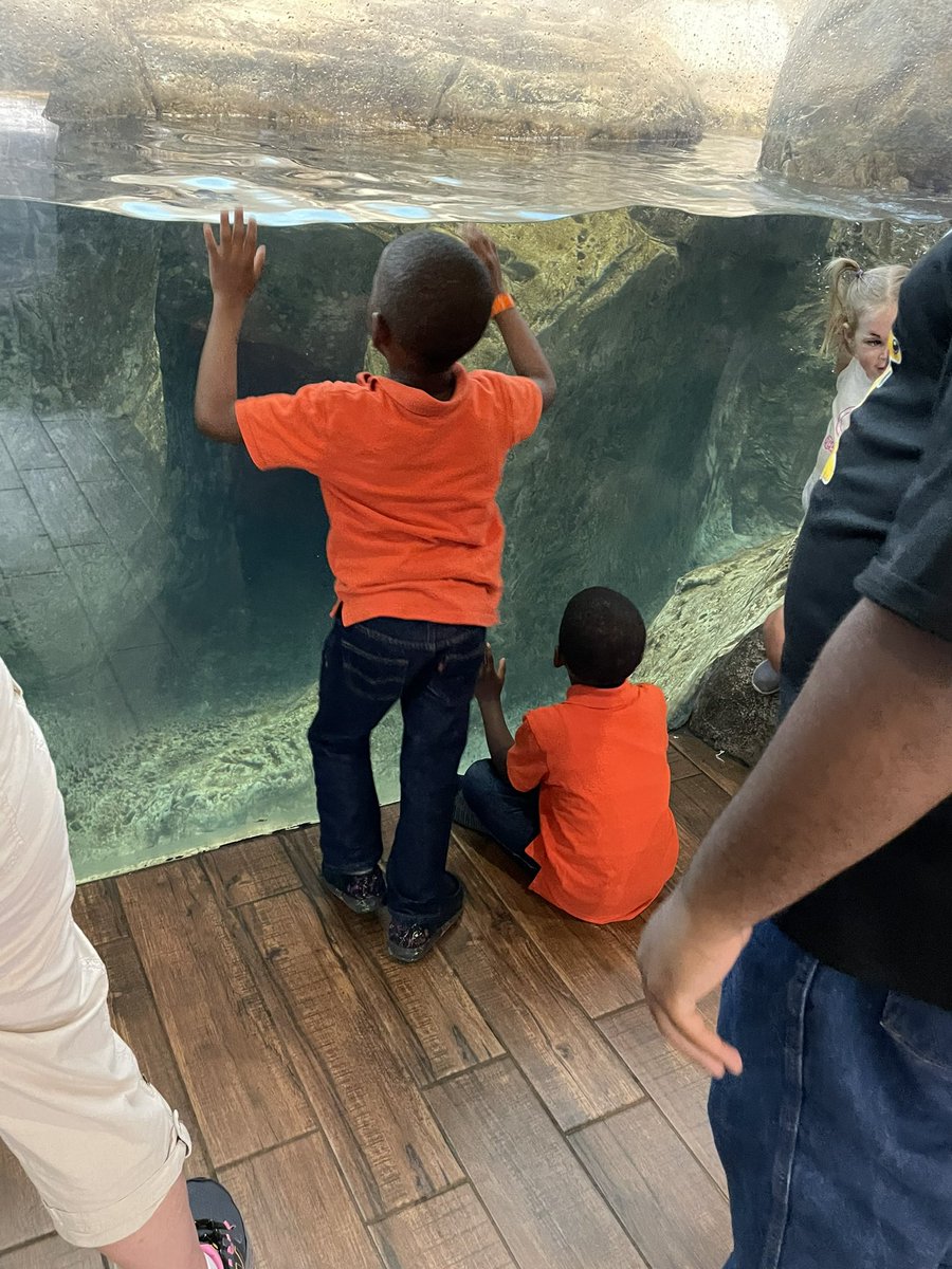 RexrodeMLST's tweet image. What a fun day at the zoo!!!