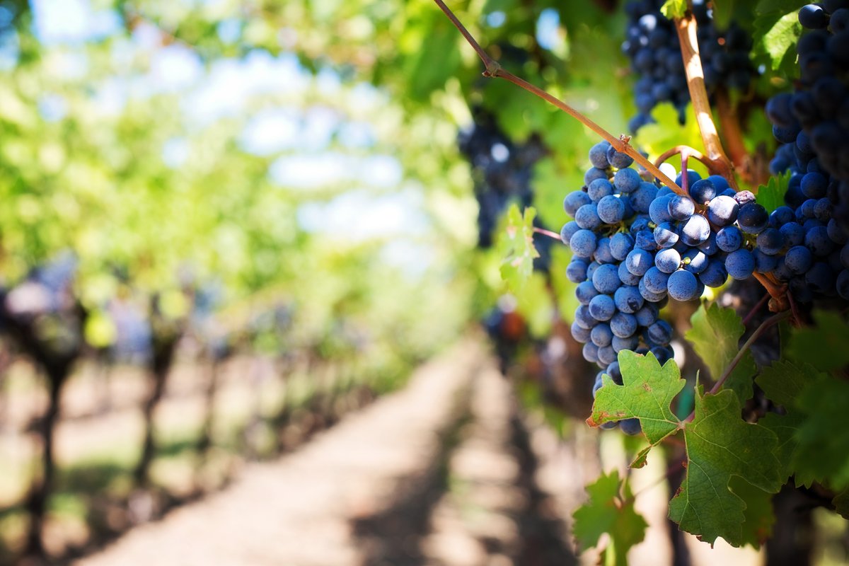 California Farm Water Coalition tweet media