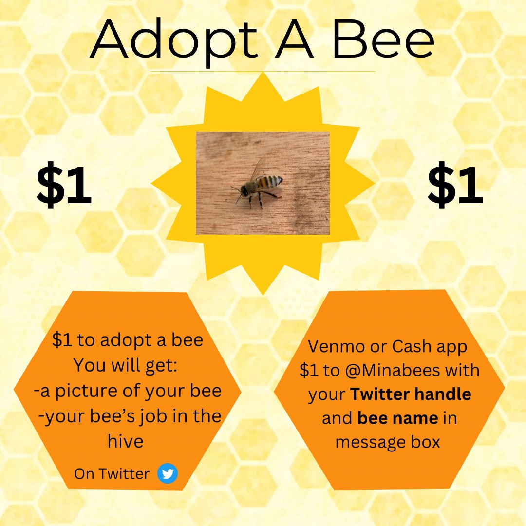 Adopt A Bee is here! Tell your friends 😀