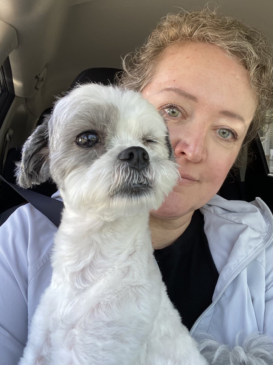 BraveReader73's tweet photo. What a day! Ms. Eisenberg and I found a dog on the way to school, so of course we took it and held it there until we found the owner. THEN Knight Owl won the battle of the books! @cadenise https://t.co/46GOEqkaCR